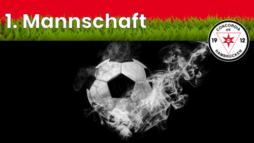 1. Mannschaft nächstes Spiel – TSV Reichenbach I : FVH I